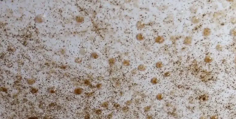 Whole House Humidifier Dangers