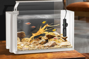 best fish tank heater